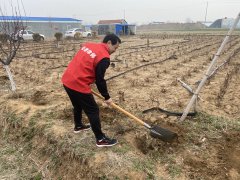 春回大地暖，植绿正当时！