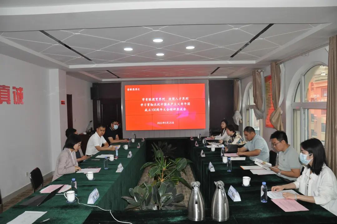 市青联教育界别、技能人才界别学习贯彻庆祝中国共产主义青年团成立100周年大会精神座谈会在我所组织召开